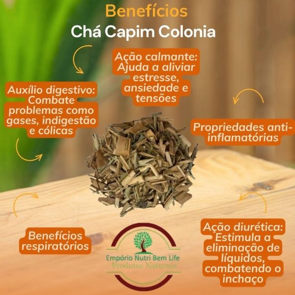 CAPIM COL�NIA - (PANICUM MAXIMUM)